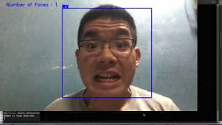 Face Detection using Nearest Neighbour Classifier (SSD) screenshot 3