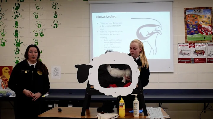 Hannah Needham and Kirsten Cummings Animal Science...