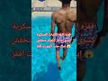 قفزه الثقه للكليات العسكرية كسرى حاجز الخوف متخفش إيدك جنب الشورت اقفز قفزة