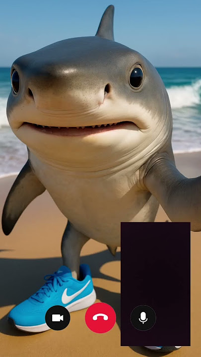 Bulbul Bata bhi cappuccino Association Meri Lali la #edit