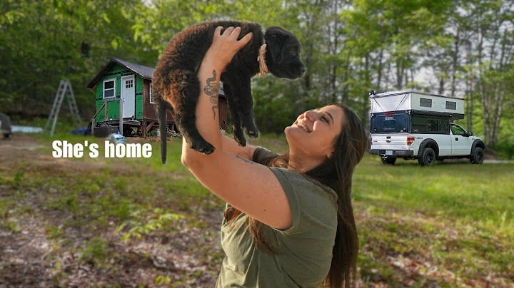 Life at the Cabin Just Changed Forever..