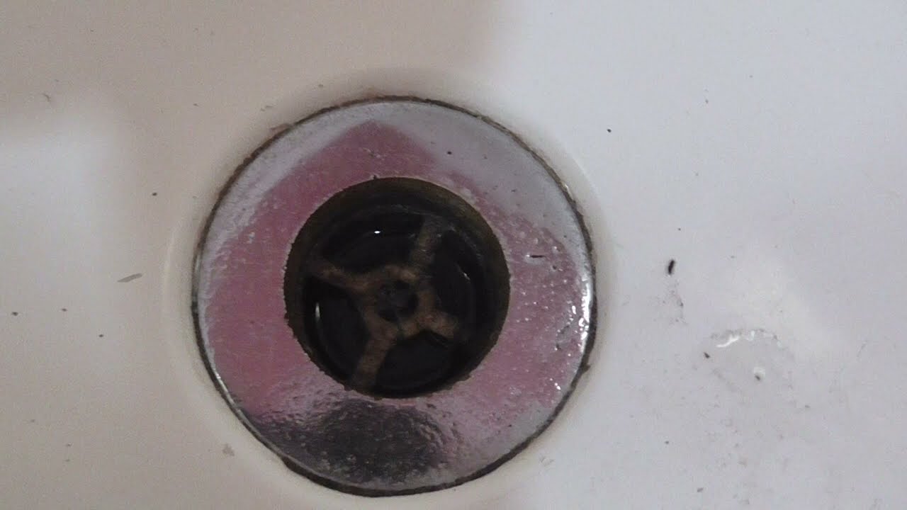 Ballot Box - The Game (Live in the Bathroom)