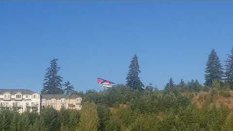 Eflite Maule on Floats