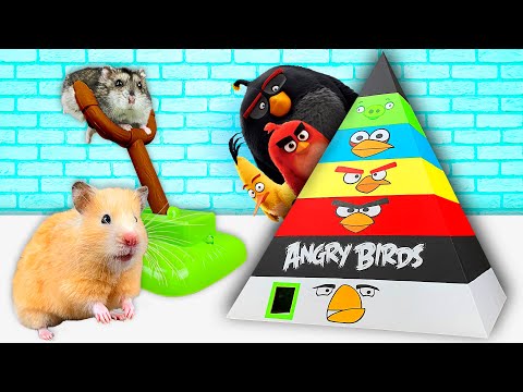 Hamsters in 7 - Level Angry Birds Pyramid Maze