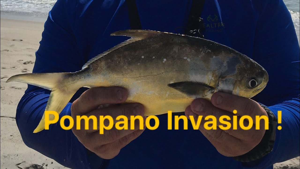 Kure Beach NC Pompano Invasion! 2 Catch and Cooks
