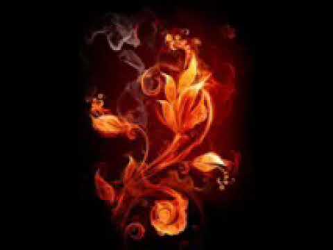 شيلة يا ناري شبي من ظلوعج حاطبني