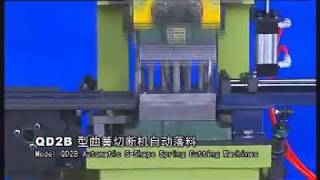 Zigzag spring machines