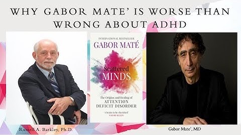 Why Dr  Gabor Mate