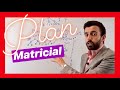 😲[PLAN DE COMPENSACIÓN MATRICIAL] MULTINIVEL