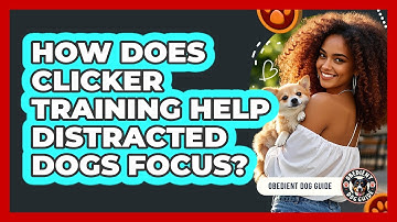 How Does Clicker Training Help Distracted Dogs Focus? - Obedient Dog Guide