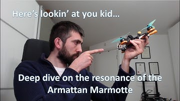 Resonance analysis of the Armattan Marmotte, Shaken not stirred!