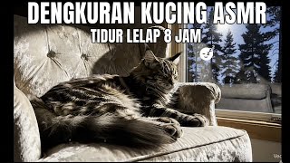 Dengkuran Kucing 1 Jam di Malam Hari 🌙 Suara Relaxing untuk Tidur Nyenyak | Sleep Better with Cat