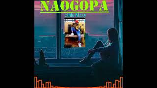 Zinto Kizzy-Naogopa Official Audio Pro Gama Sound