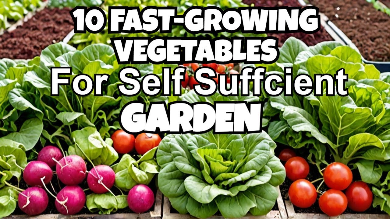 Picture of Everything You Should Know About Self-Sufficient Gardening