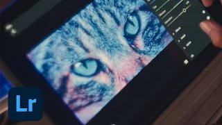 Try Lightroom. Make your presentations powerful. | Adobe Creative Cloud screenshot 5
