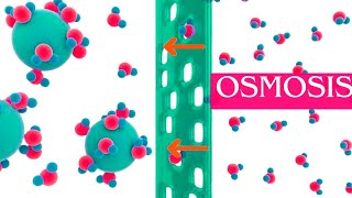 Introduction to Osmosis + Factors Affecting Osmosis I Cell Physiology Form 1 & Grade 8