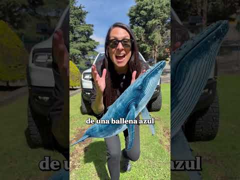 Short: ¿Cuanto tendrías que ganar para comprara una RAM 1500?