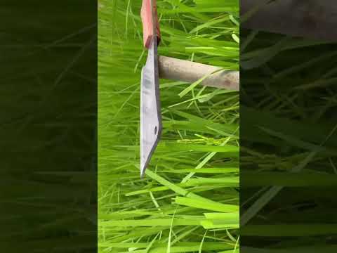 Video Tôi làm một mẫu dao phở chặt bằng thép lò xo phải nói... - youtube