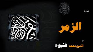 القران الكريم بصوت الشيخ الامين محمد قنيوة | سورة الزمر