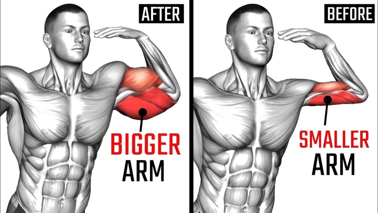 Ultimate Dumbbell Bicep Workout (Do This to Grow Arms FAST!)