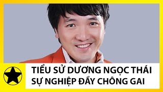 Tiểu Sử Ca Sĩ Dương Ngọc Thái || Từng Muốn Bỏ Nghề Vì 7 Năm Đi Hát Mà Chẳng Nổi Tiếng