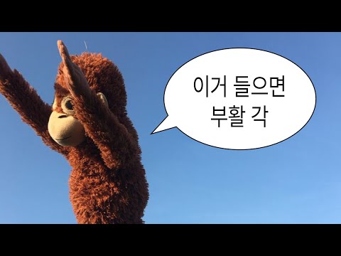 꿀꿀할때
