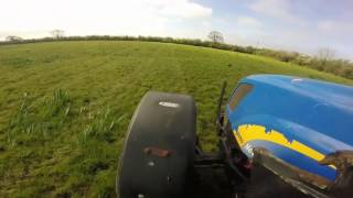 rolling the grass