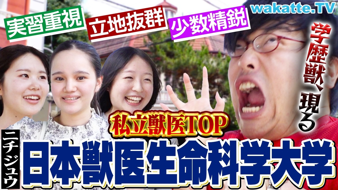 新人獣医師向け 買ってよかった獣医学書5選 〜予算1万円〜【100万使っ