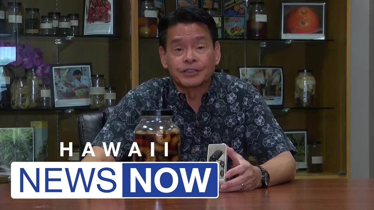 State hopes new rules for plant transport, compost stop invasive pest’s costly spread