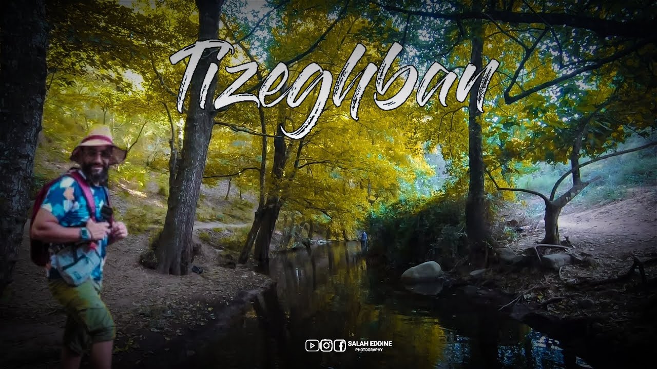 غابة تيزغبان _القل 🌲 ولاية سكيكدة...من أجمل الغابات في الجزائر....🇩🇿...❤️