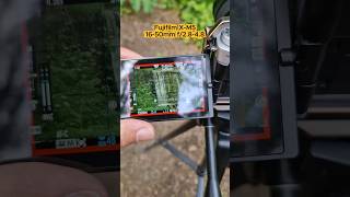 This $800 camera doesn't need expensive gear This $800 camera doesn't need expensive gear