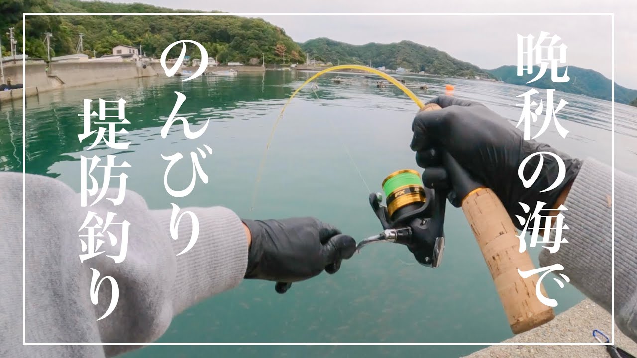 【ミャク釣り】晩秋の堤防をのんびり探り釣り。
