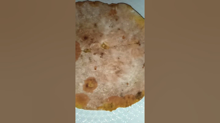 خبز معمر