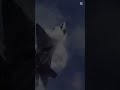Remade The other one! I tried to sync the music with cool parts #edit #aviation #f22raptor
