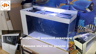 видео: Интересный морской аквариум. Раньше мы так не делали :) картинка: Интересный морской аквариум. Раньше мы так не делали :)