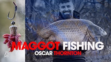 Maggot Fishing- Oscar Thornton