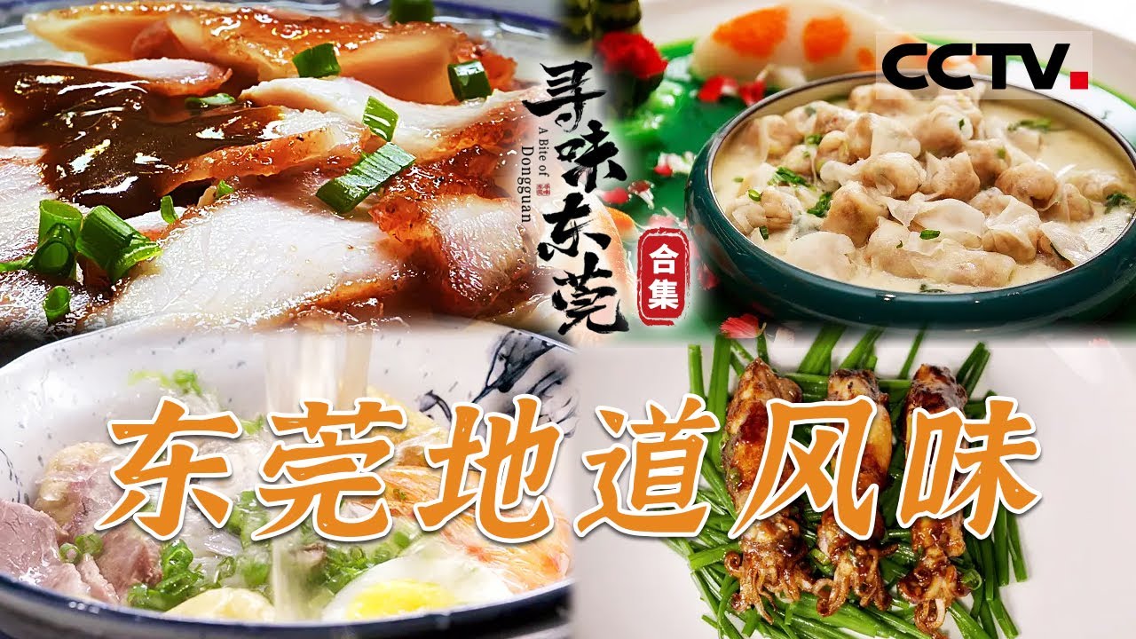 带你“吃透”东莞美食 “寻味”你所不知道的东莞！让世界看到东莞美味 解锁东莞这座“世界工厂”的美味地图【CCTV纪录】