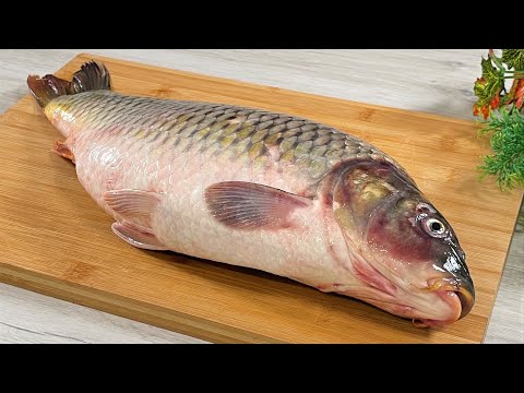 Video: Sú pompano kŕmidlá pre ryby pri dne?
