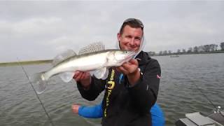 Fishing for Pikeperch with Veit Wilde I MolaBeach Angling Resort Peenemünde I Project CATCH – EUCC-D