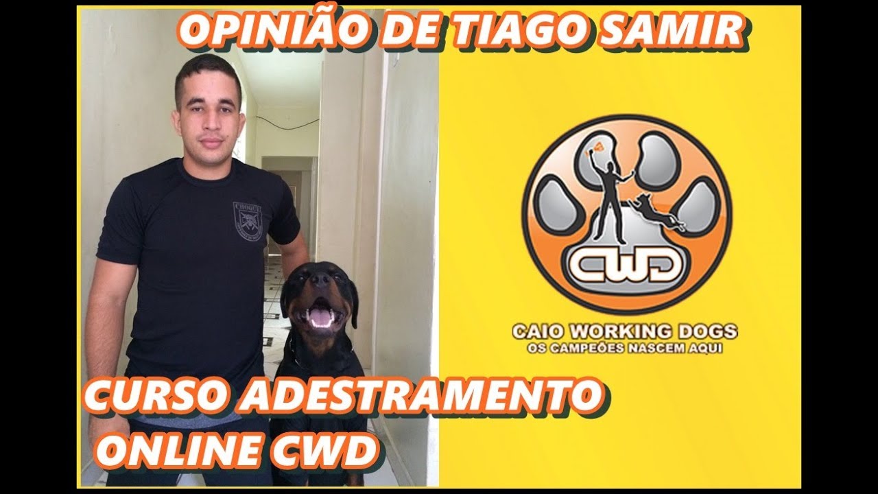 Curso online Caio Working Dogs - minha opinião - Tiago Samir pastor belga