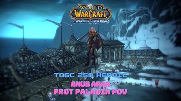 TOGC 25M Heroic | Tank PoV | Anub Arak