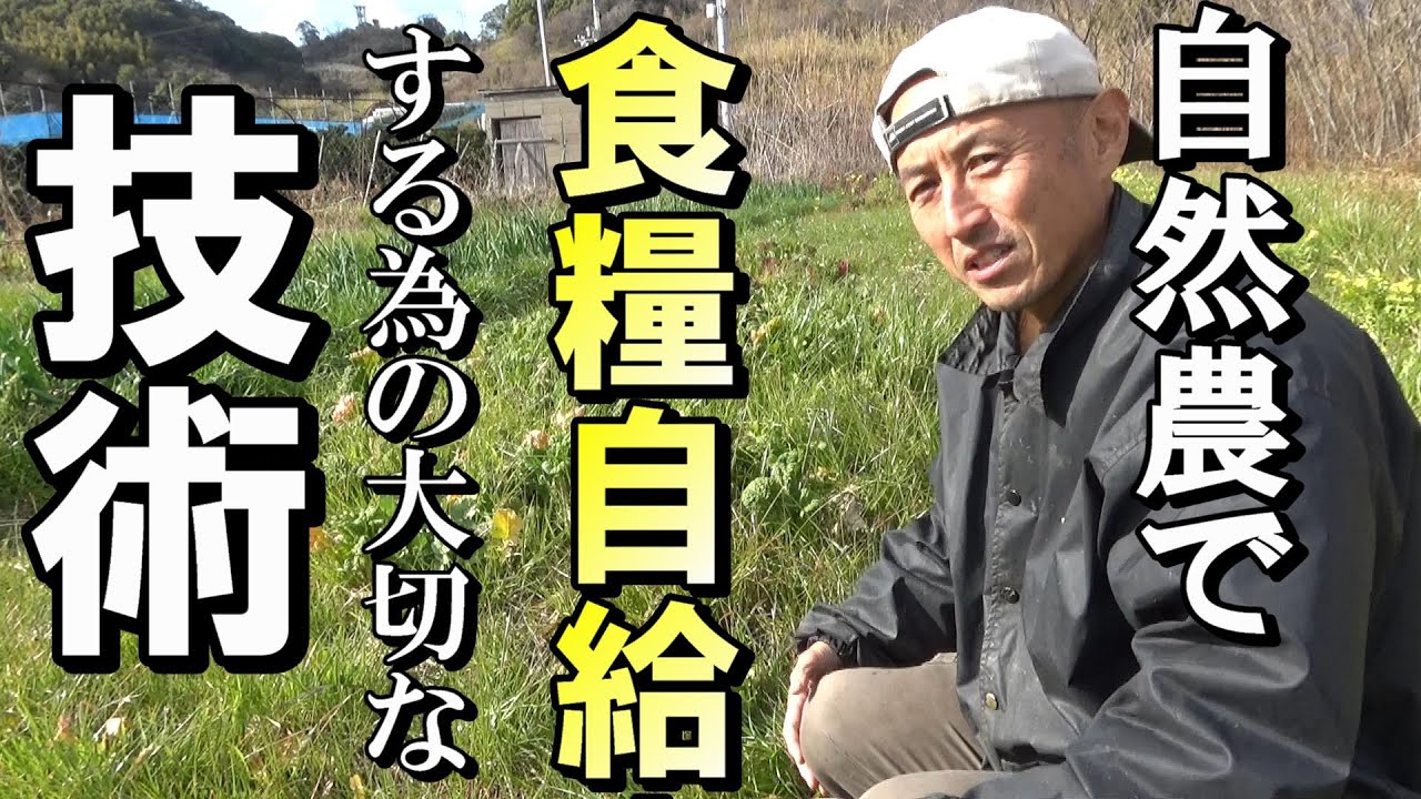 【自然農】自然農で食糧自給するための大切な技術　2023年2月15日  【natural farming】