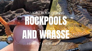 Light Rock Fishing - Rockpools and Wrasse - I Caught A New Species!