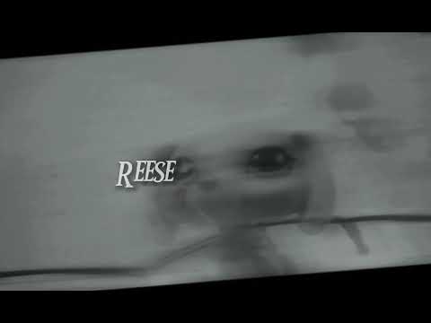 Masquerade LPS MV