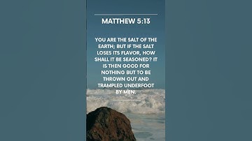 Thumbnail of Salt of the Earth, Light of the World