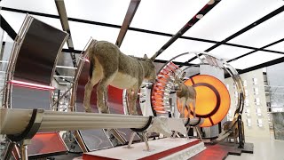 Gentle Monster San Jose Store