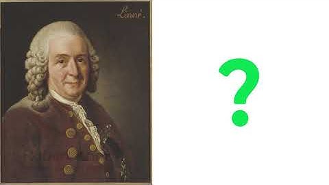 Why do we classify living things?