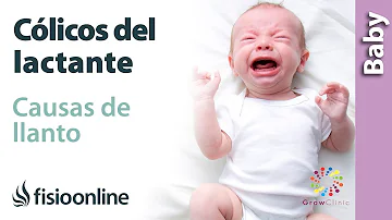¿Por qué lloran mucho los bebés a los 6 meses?
