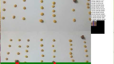 Grain Identification Demo