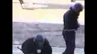 System Of A Down - Deer Dance